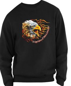 Flaming Eagle Head Sweatshirt