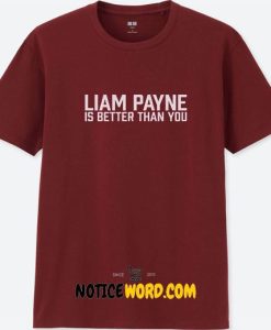 Liam Payne Is Better Than You T Shirt