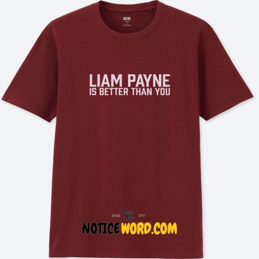 Liam Payne Is Better Than You T Shirt