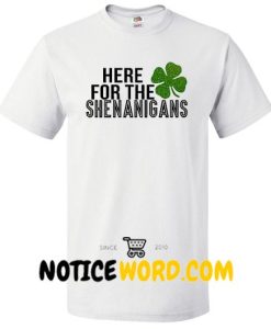 St Pattys Day Shirt, Bad and Boozy, Here for the Shenanigans Tee