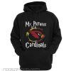 My patronus is a Arizona Cardinals football NFL Hoodie