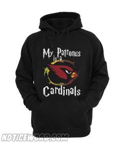 My patronus is a Arizona Cardinals football NFL Hoodie