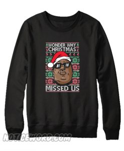 Wonder Why Christmas Sweatshirt