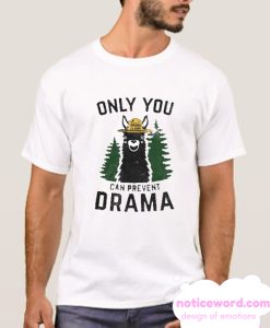 Only You Can Prevent Drama smooth T Shirt