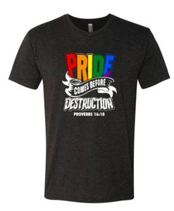 Pride Comes Before Destruction Christian DH T-Shirt