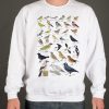 Garden Birds graphic Sweatshirt