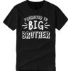 Promoted to Big Brother T Shirt